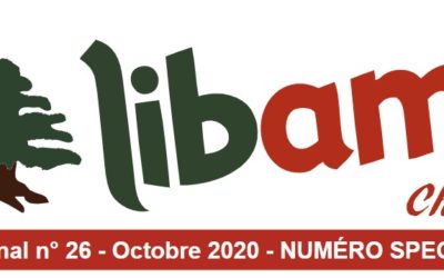 2020 10 Journal Libami n°26